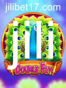 Explorando o Universo de DoubleFly: Um Guia Completo